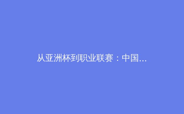从亚洲杯到职业联赛：中国体育产业的结构性变革与未来机遇 - 4